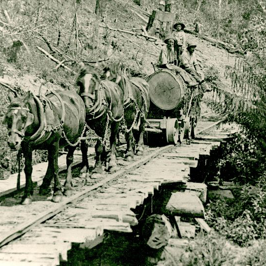 The-Tramways-of-the-Otways