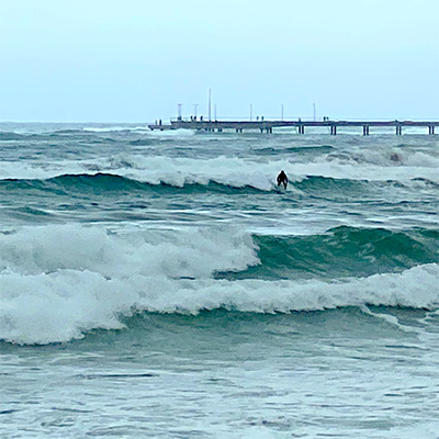 Despair-turns-to-joy-Walking-the-beach-in-an-Easterly